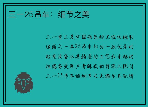 三一25吊车：细节之美