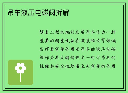 吊车液压电磁阀拆解